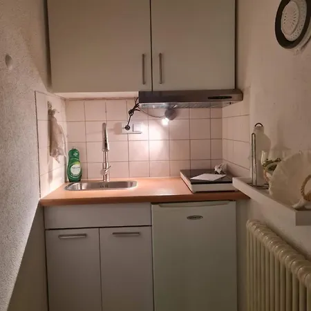 Forsthaus Apartment *